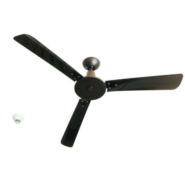 Cipetian Fan